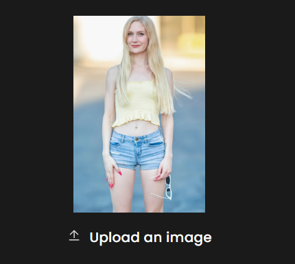Step 1. Upload a Photo.